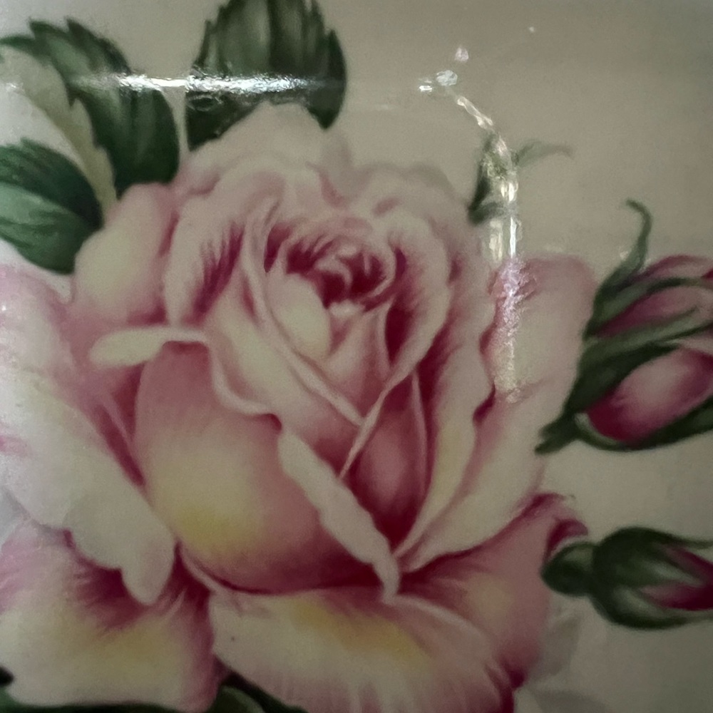 Lifetime China Co. 10” Teal Dinner Plate. “Cameo” Pattern. Gold Rimmed. - Picture 7 of 11